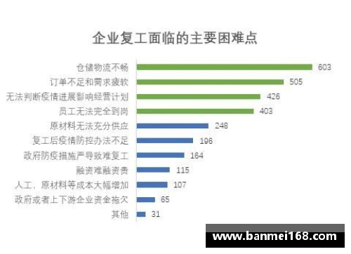 汉堡队稳居德甲中游，呼声再次高涨